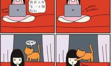 铲屎官漫画,宠物日常的欢乐与温馨